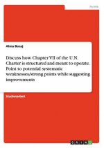 Discuss how Chapter VII of the U.N. Charter is structured and meant to operate. Point to potential systematic weaknesses/strong points while suggestin