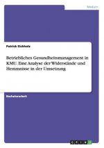 Betriebliches Gesundheitsmanagement in KMU. Eine Analyse der Widerstande und Hemmnisse in der Umsetzung