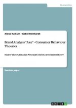 Brand Analysis Axe - Consumer Behaviour Theories