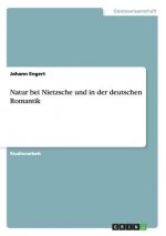 Natur bei Nietzsche und in der deutschen Romantik