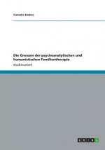 Die Grenzen der psychoanalytischen und humanistischen Familientherapie