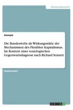 Bundeswehr als Wirkungsstatte der Mechanismen des Flexiblen Kapitalismus. Im Kontext einer soziologischen Gegenwartsdiagnose nach Richard Sennett