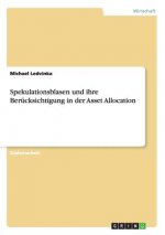 Spekulationsblasen und ihre Berucksichtigung in der Asset Allocation