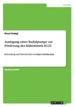 Auslegung einer Radialpumpe zur Foerderung des Kaltemittels R123
