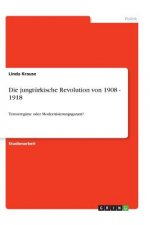 Die jungtürkische Revolution von 1908 - 1918