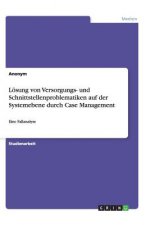 L sung Von Versorgungs- Und Schnittstellenproblematiken Auf Der Systemebene Durch Case Management