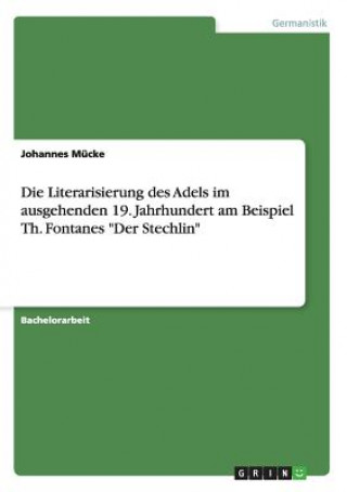 Literarisierung des Adels im ausgehenden 19. Jahrhundert am Beispiel Th. Fontanes Der Stechlin