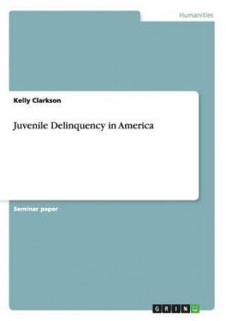 Juvenile Delinquency in America
