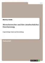 Menschenrechte und ihre (strafrechtliche) Durchsetzung