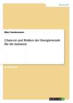 Chancen und Risiken der Energiewende fur die Industrie