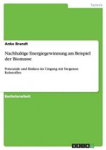 Nachhaltige Energiegewinnung am Beispiel der Biomasse