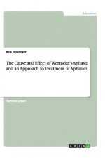 Cause and Effect of Wernicke's Aphasia and an Approach to Treatment of Aphasics