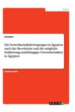 Gewerkschaftsbewegungen in  gypten Nach Der Revolution Und Die M gliche Etablierung Unabh ngiger Gewerkschaften in  gypten