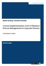 Current Implementation Level of Business Process Management in Corporate Practice