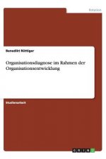 Organisationsdiagnose Im Rahmen Der Organisationsentwicklung