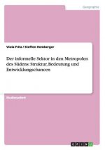 Der informelle Sektor in den Metropolen des Südens: Struktur, Bedeutung und Entwicklungschancen