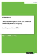 Tragflugel mit periodisch wechselnder Stroemungsbeaufschlagung