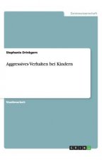 Aggressives Verhalten bei Kindern