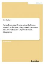 Darstellung der Organisationskulturen anhand verbreiteter Organisationsmuster und der virtuellen Organisation als Alternative