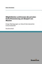 M glichkeiten Und Grenzen Der Privaten Kulturfinanzierung Am Beispiel Von Museen