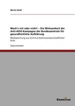 Mach's mit oder nicht! - Die Wirksamkeit der Anti-AIDS-Kampagne der Bundeszentrale fur gesundheitliche Aufklarung