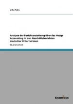 Analyse der Berichterstattung uber das Hedge Accounting in den Geschaftsberichten deutscher Unternehmen