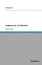 Budgetierung - ein UEberblick