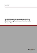 Soziooekonomische Verwundbarkeit durch Globalisierung
