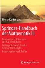 Springer-Handbuch Der Mathematik III