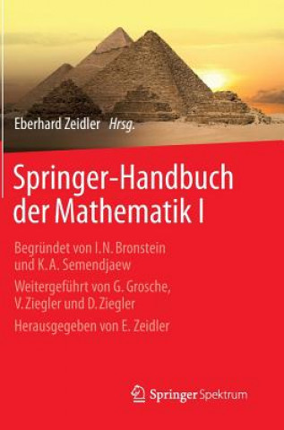 Springer-Handbuch Der Mathematik I