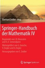 Springer-Handbuch Der Mathematik IV