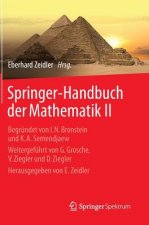 Springer-Handbuch Der Mathematik II