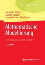 Mathematische Modellierung