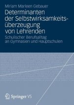 Determinanten der Selbstwirksamkeitsuberzeugung von Lehrenden