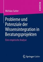 Probleme Und Potenziale Der Wissensintegration in Beratungsprojekten