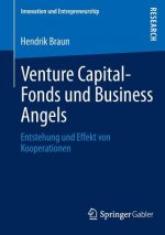 Venture Capital-Fonds Und Business Angels