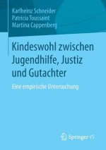 Kindeswohl Zwischen Jugendhilfe, Justiz Und Gutachter