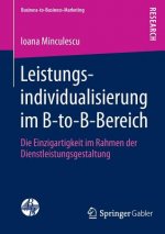 Leistungsindividualisierung Im B-To-B-Bereich