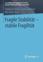 Fragile Stabilitat - stabile Fragilitat