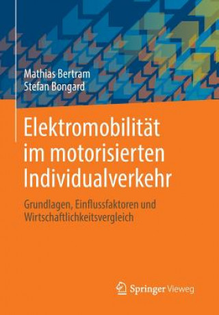 Elektromobilitat Im Motorisierten Individualverkehr