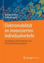 Elektromobilitat Im Motorisierten Individualverkehr