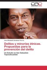 Delitos y minorias etnicas. Propuestas para la prevencion del delito