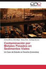 Contaminacion por Metales Pesados en Sedimentos Viales