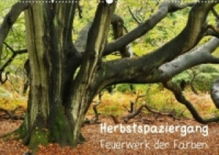 Herbstspaziergang - Feuerwerk der Farben (Posterbuch DIN A3 quer)