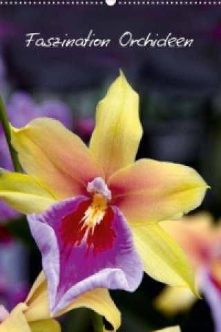 Zauber der Orchideen (Posterbuch DIN A4 hoch)