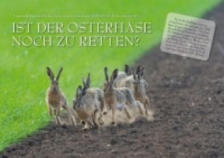 Ist der Osterhase noch zu retten? (Posterbuch DIN A4 quer)