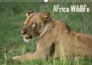 Africa Wildlife (Posterbuch DIN A4 quer)