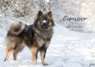 Eurasier zum Verlieben (Posterbuch DIN A4 quer)