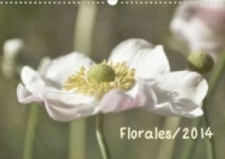 Florales/2014 (Wandkalender 2014 DIN A4 quer)