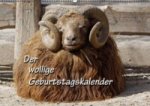 Der wollige Geburtstagskalender (Wandkalender immerwährend DIN A2 quer)